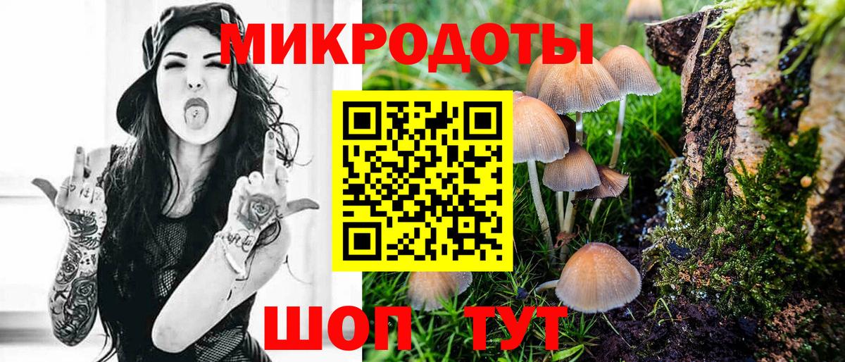Орехово-Зуево  Галлюциногенные грибы Cubensis  Вход с VPN 