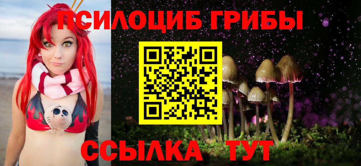 Псилоцибиновые грибы Cubensis Орехово-Зуево